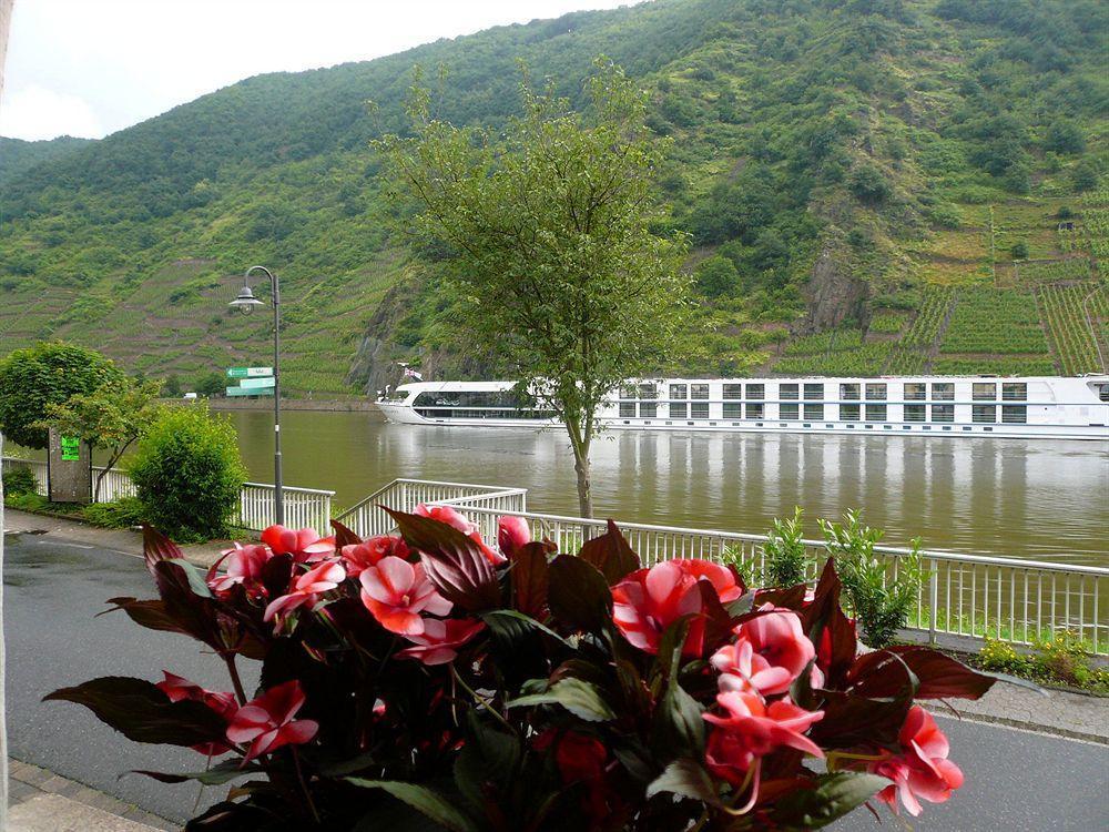 Mosel-Landhaus Am Moselufer B&B Briedern Екстер'єр фото