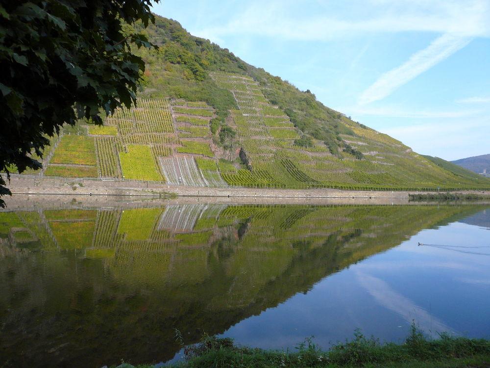Mosel-Landhaus Am Moselufer B&B Briedern Екстер'єр фото