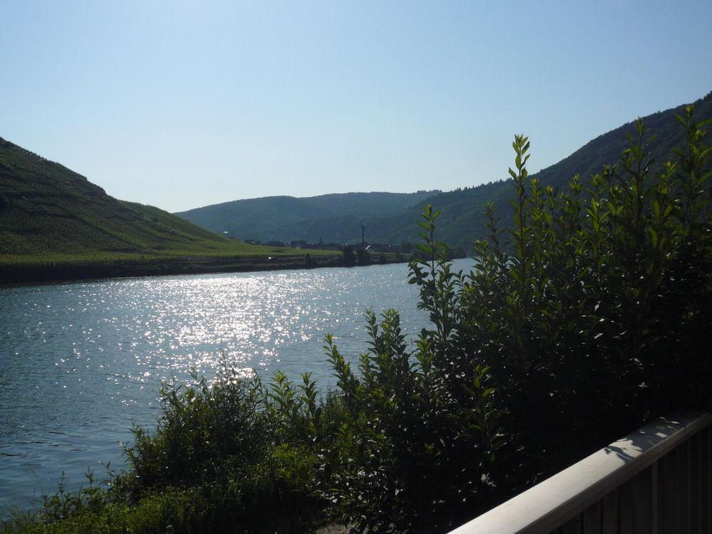 Mosel-Landhaus Am Moselufer B&B Briedern Екстер'єр фото